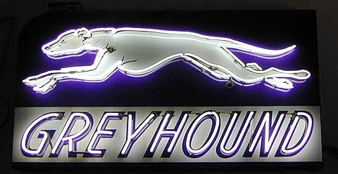 Greyhound