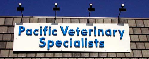 Pacific Veterinary Specialists2