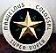 Gold Star